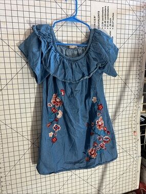 Girls MiaoMiao Blue Embroidered Ruffle Dress